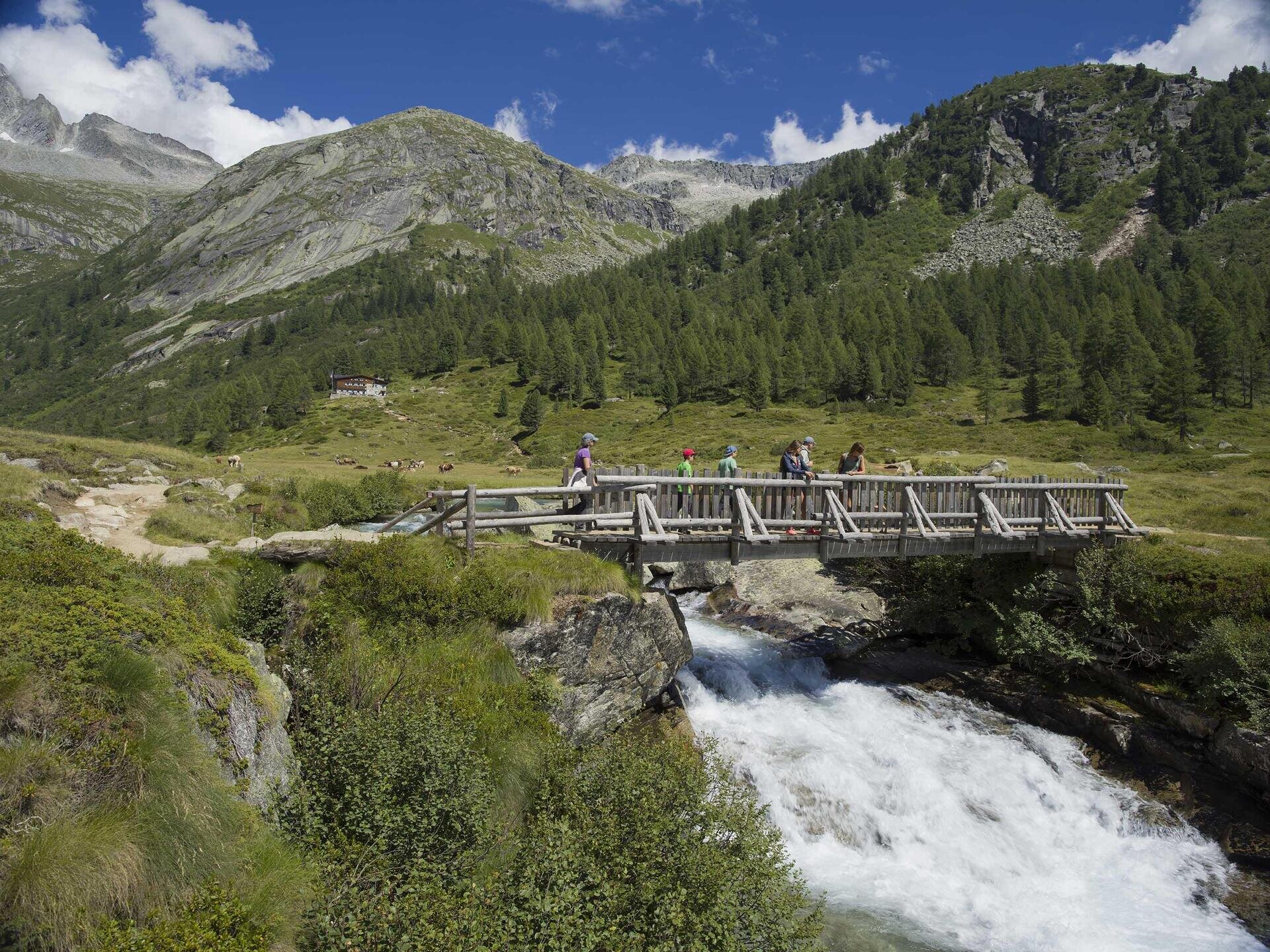 Valle Daone 15878 tra Val di Fumo e Lago Bissina