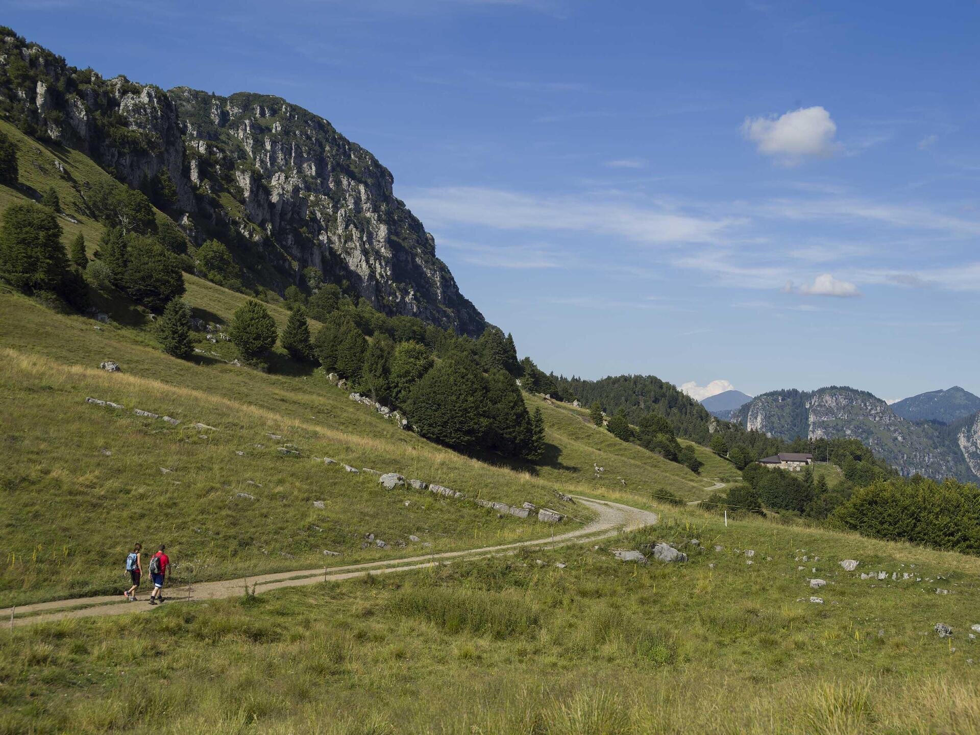 Valle del Chiese 15607 da Malga Alpo di Storo a vi