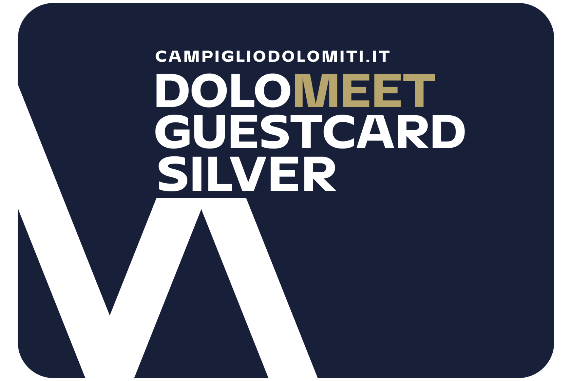 DoloMeet Guest Card Silver