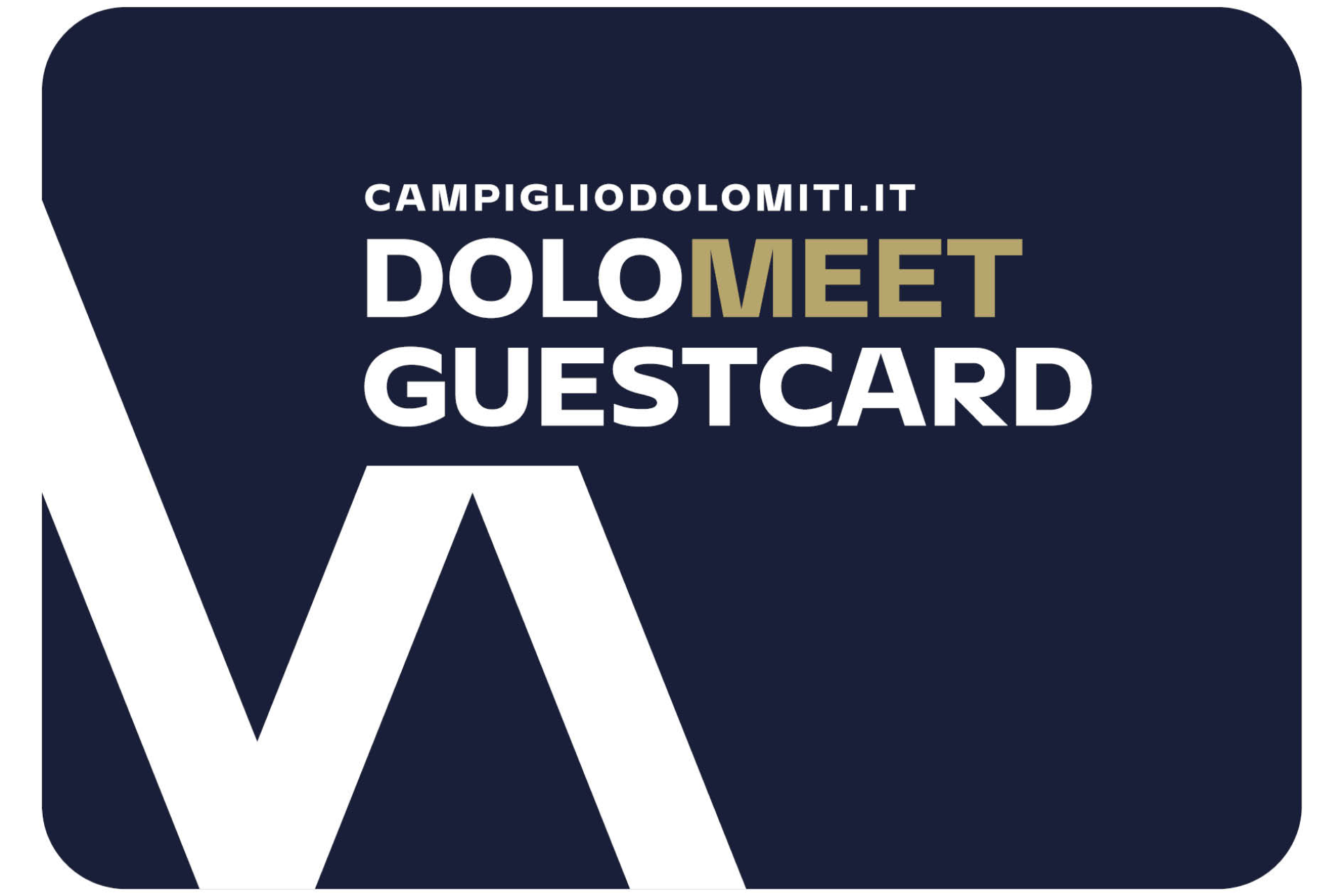 DoloMeet Guest Card