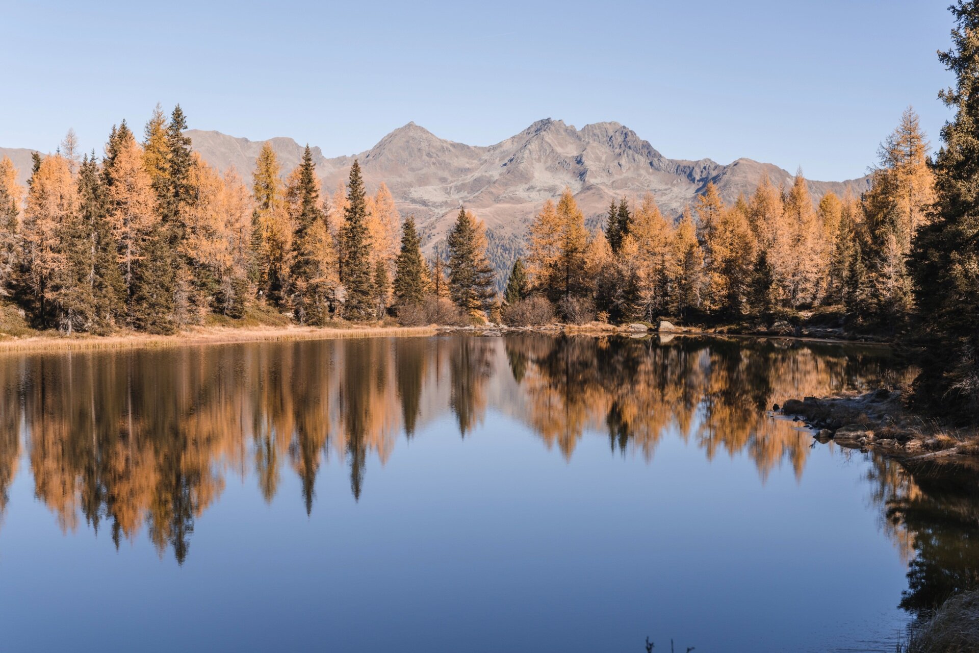 Val di Sole Guest Card | © Giacomo Podetti