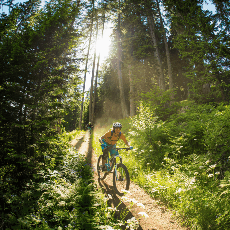 Bike Park Val Di Sole 9