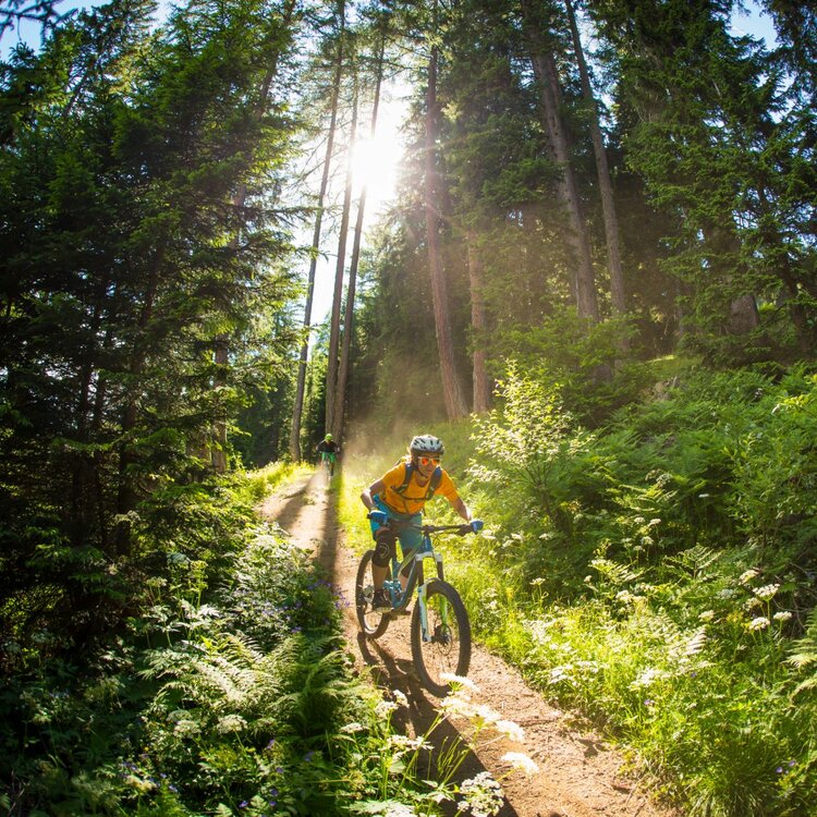 Bike Park Val di Sole | © Centro Bike Val di Sole