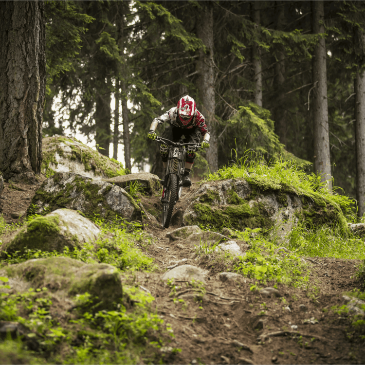 Bike Park Val Di Sole 6