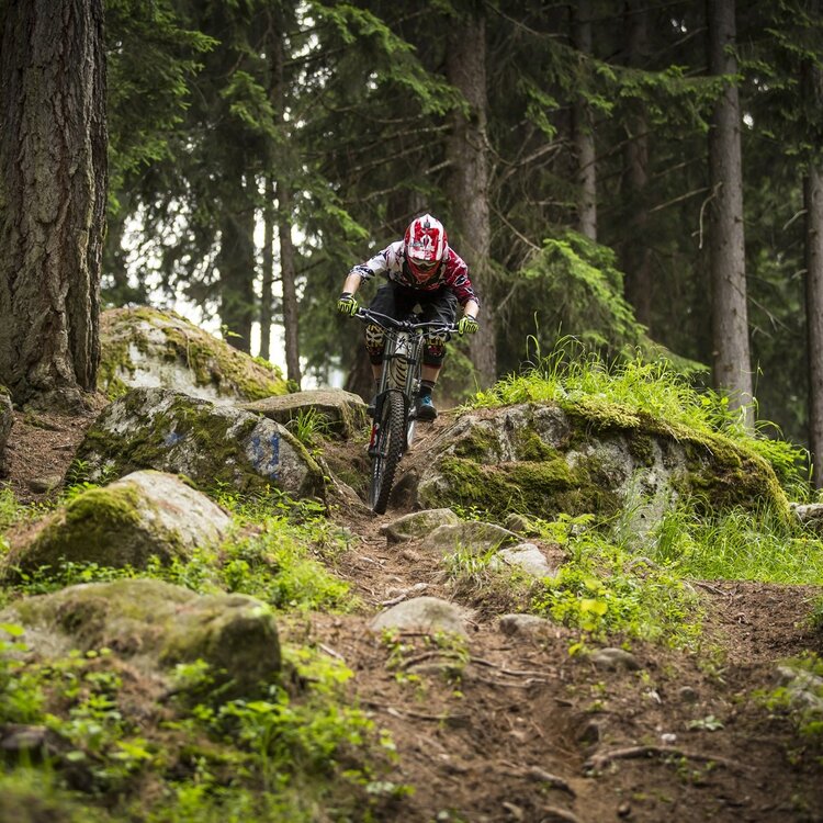 Bike Park Val di Sole