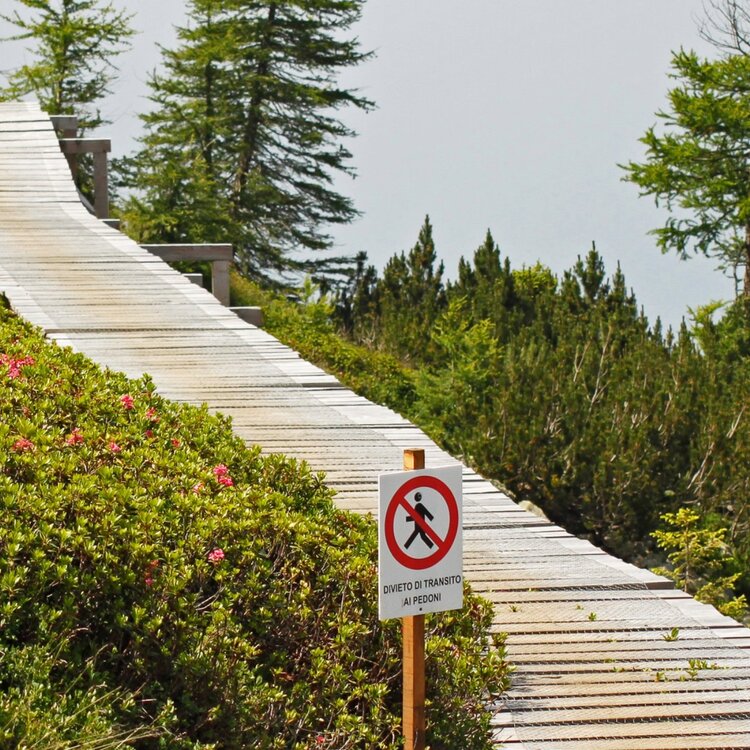 Brenta Bike Park | © Alessandra d'Agostino