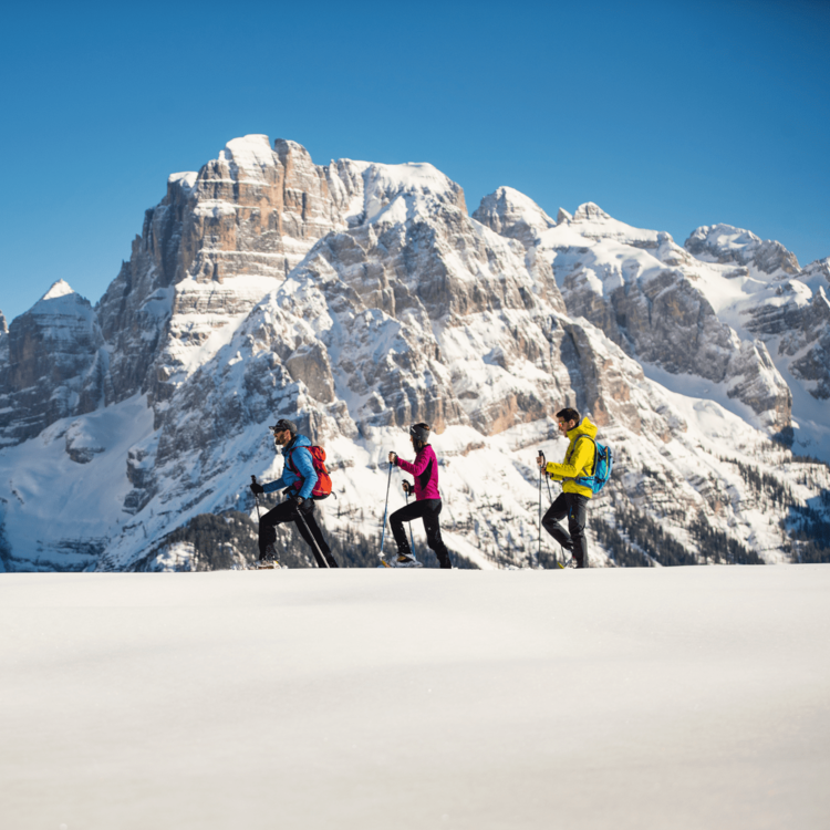 Im Schnee bei langsamem Tempo