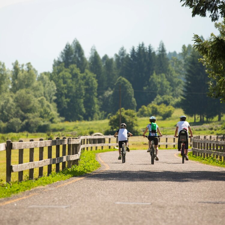 Piste Ciclabili