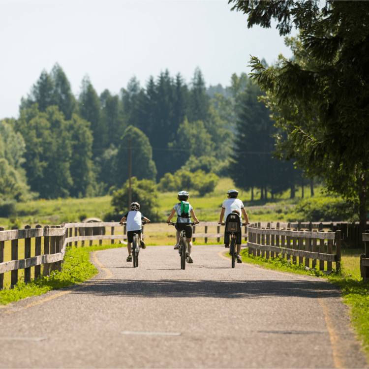 Piste Ciclabili