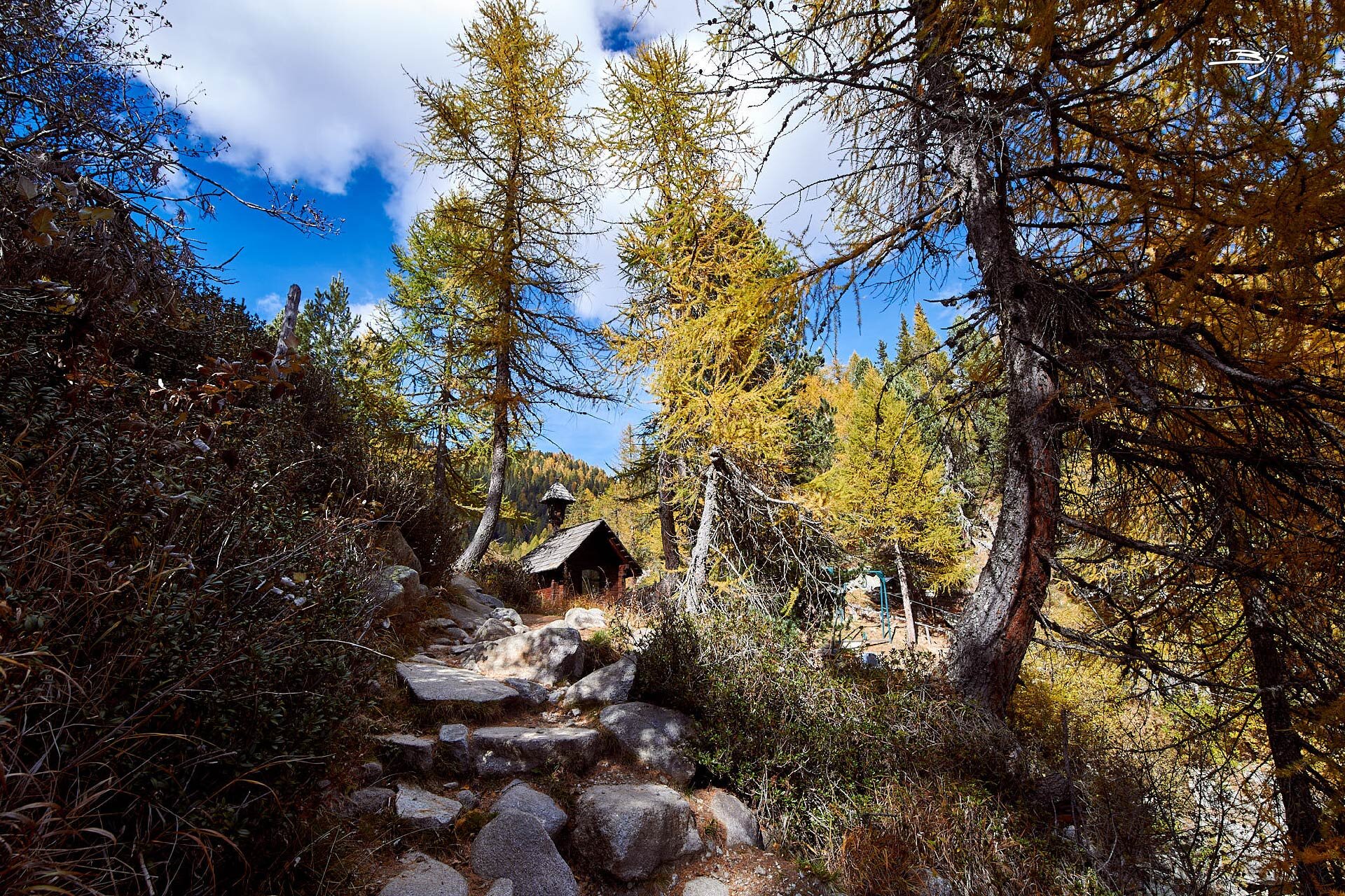 Itinerario Pradalago - Lago Malghette - Malga Zeledria  | © Bisti